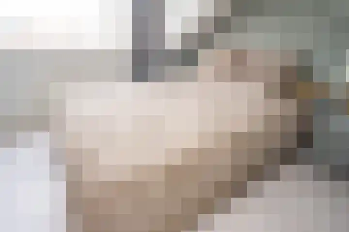 Prinses Amaliaplantsoen 12 Alkmaar thumbnail 27