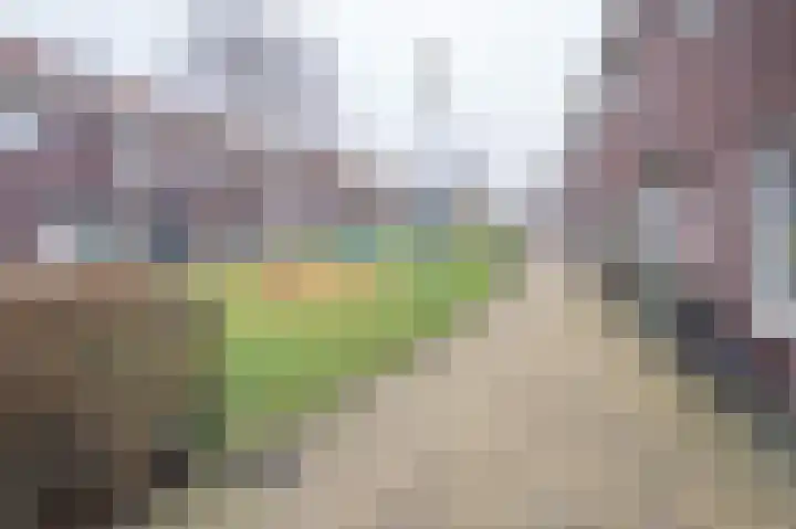 Prinses Amaliaplantsoen 12 Alkmaar thumbnail 41