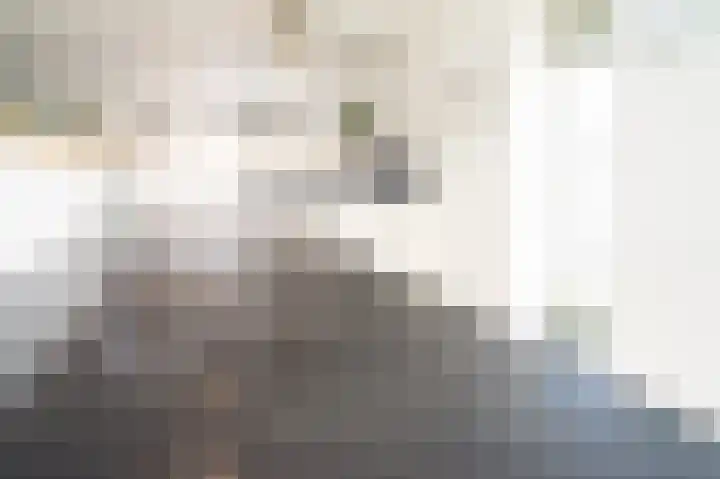 Prinses Amaliaplantsoen 12 Alkmaar thumbnail 8