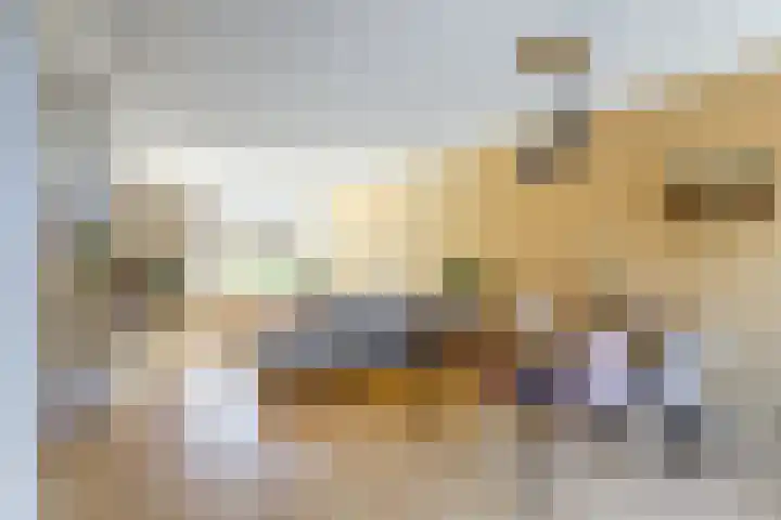 Prinses Amaliaplantsoen 30 Alkmaar thumbnail 10