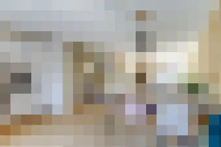 Prinses Amaliaplantsoen 30 Alkmaar thumbnail 11