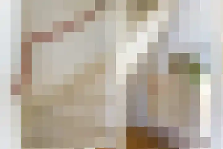 Prinses Amaliaplantsoen 30 Alkmaar thumbnail 12