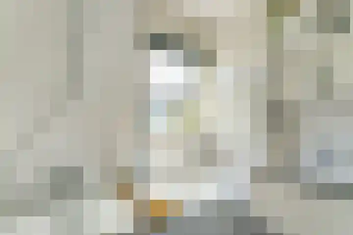 Prinses Amaliaplantsoen 30 Alkmaar thumbnail 17