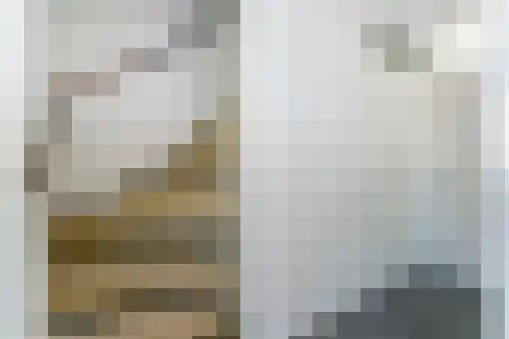Prinses Amaliaplantsoen 30 Alkmaar thumbnail 22