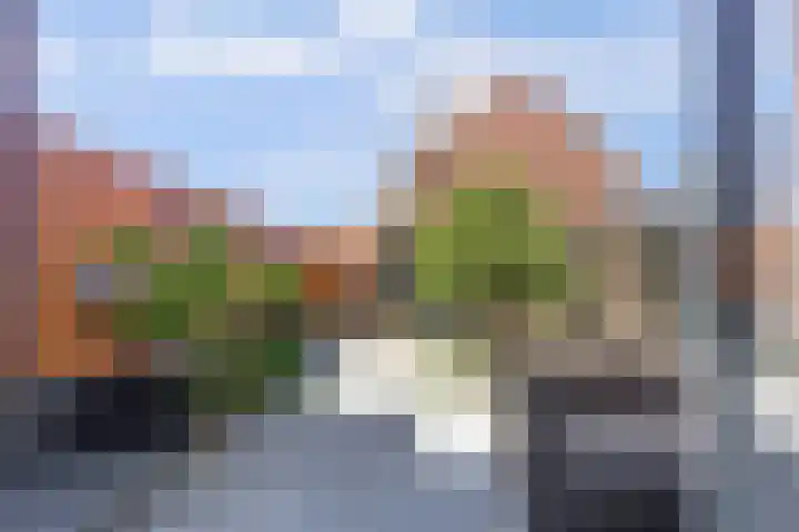 Prinses Amaliaplantsoen 30 Alkmaar thumbnail 24
