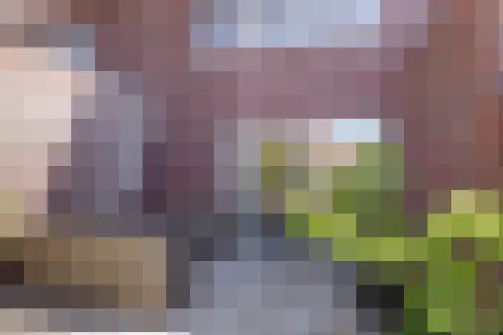 Prinses Amaliaplantsoen 30 Alkmaar thumbnail 26