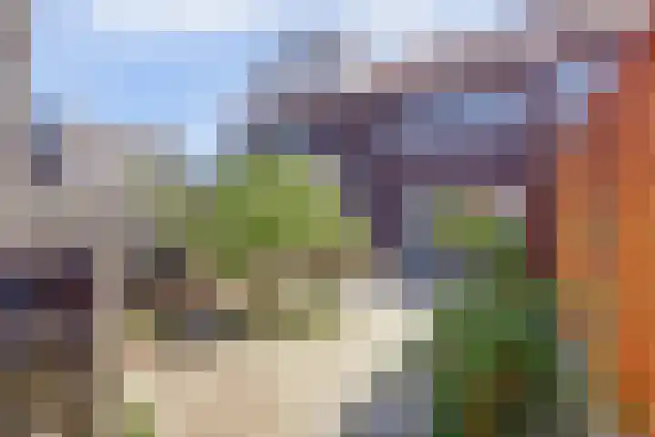 Prinses Amaliaplantsoen 30 Alkmaar thumbnail 27