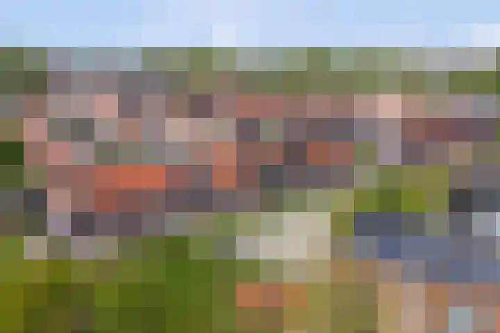 Prinses Amaliaplantsoen 30 Alkmaar thumbnail 31
