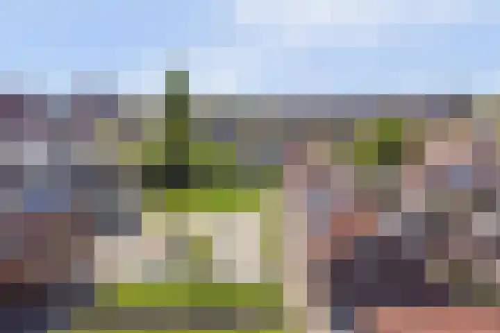 Prinses Amaliaplantsoen 30 Alkmaar thumbnail 32