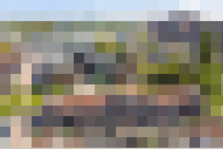 Prinses Amaliaplantsoen 30 Alkmaar thumbnail 33