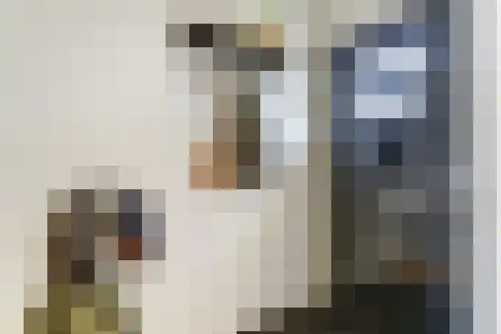 Prinses Amaliaplantsoen 30 Alkmaar thumbnail 4