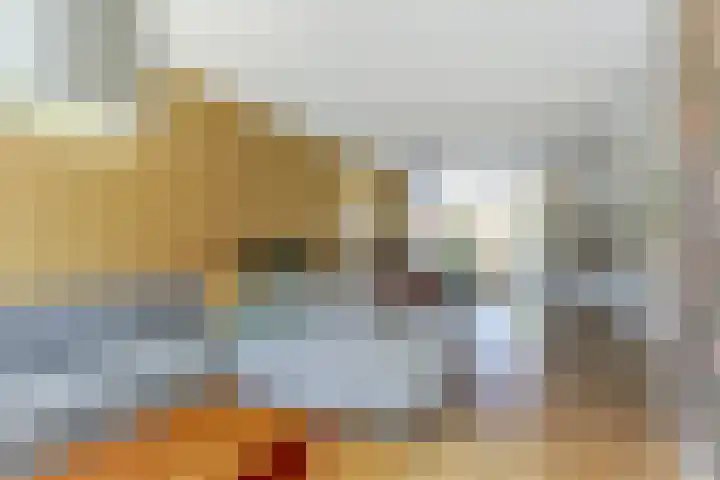 Prinses Amaliaplantsoen 30 Alkmaar thumbnail 6