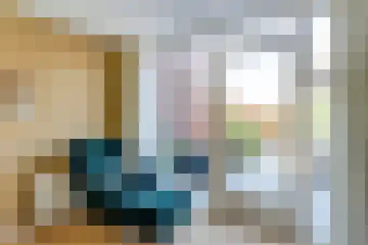 Prinses Amaliaplantsoen 30 Alkmaar thumbnail 9