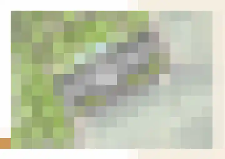 Prinses Amaliastraat 16 Oosterhout thumbnail 4