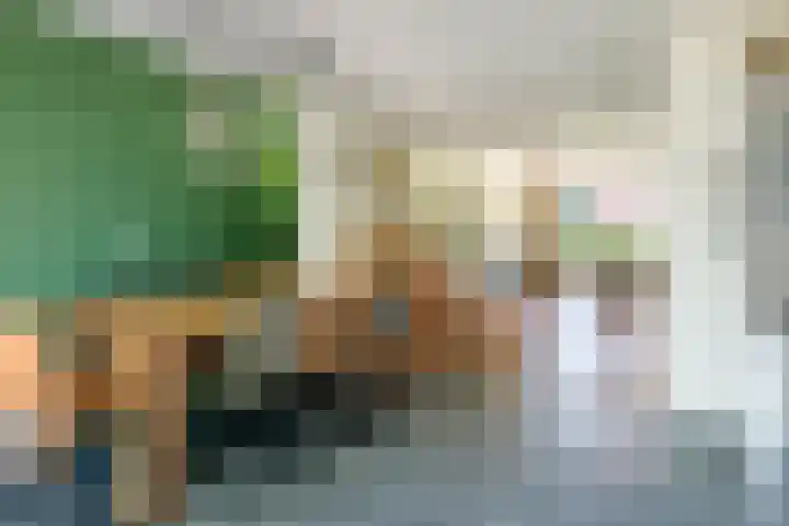 Prinses Amaliastraat 2 Schoonrewoerd thumbnail 11