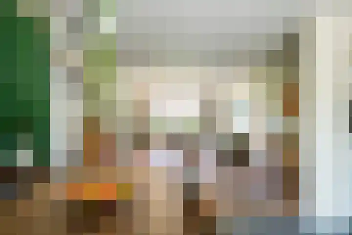 Prinses Amaliastraat 2 Schoonrewoerd thumbnail 12