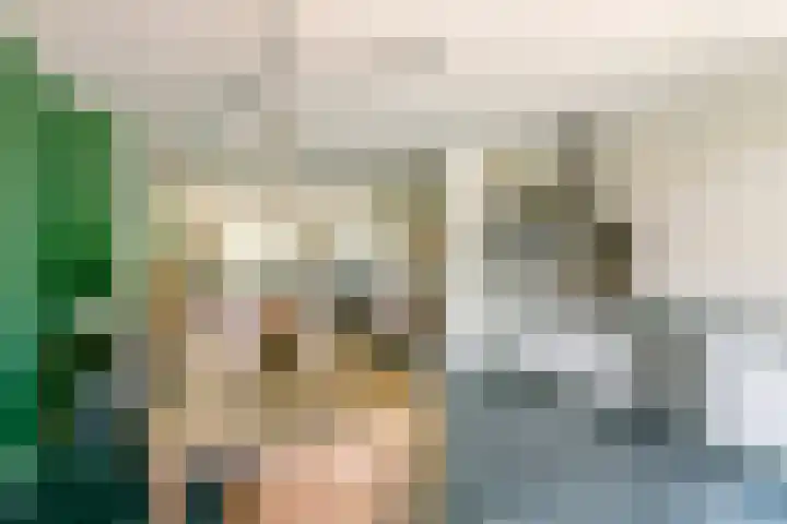 Prinses Amaliastraat 2 Schoonrewoerd thumbnail 13