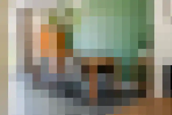 Prinses Amaliastraat 2 Schoonrewoerd thumbnail 14