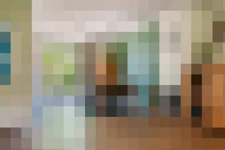 Prinses Amaliastraat 2 Schoonrewoerd thumbnail 16