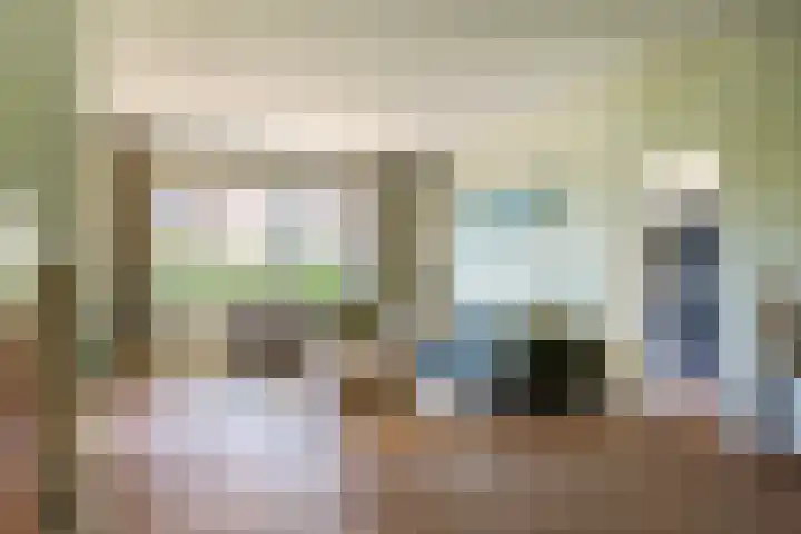 Prinses Amaliastraat 2 Schoonrewoerd thumbnail 17