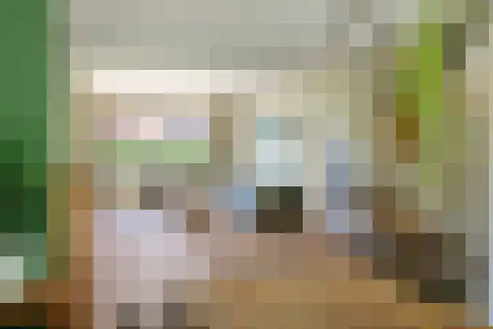 Prinses Amaliastraat 2 Schoonrewoerd thumbnail 18