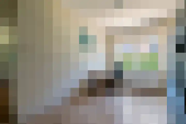 Prinses Amaliastraat 2 Schoonrewoerd thumbnail 23