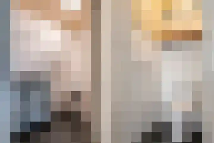 Prinses Amaliastraat 2 Schoonrewoerd thumbnail 26