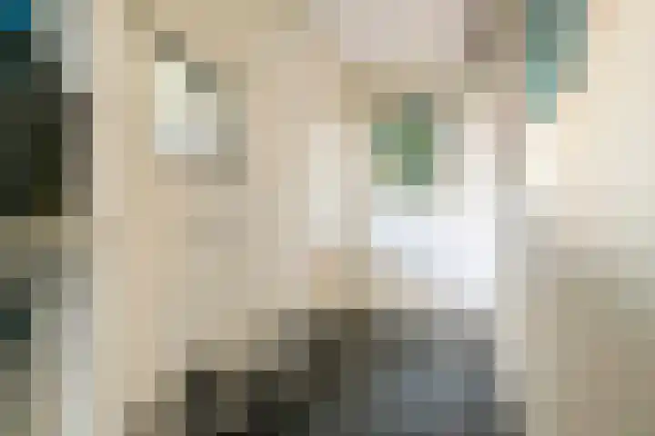 Prinses Amaliastraat 2 Schoonrewoerd thumbnail 27