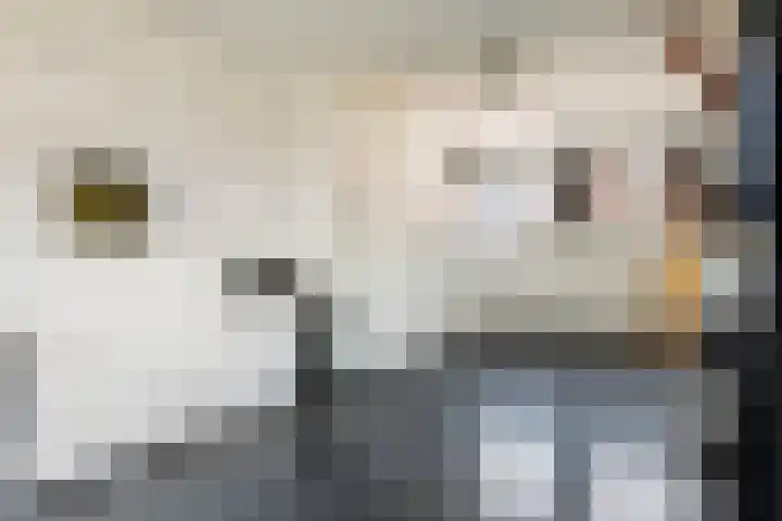 Prinses Amaliastraat 2 Schoonrewoerd thumbnail 35