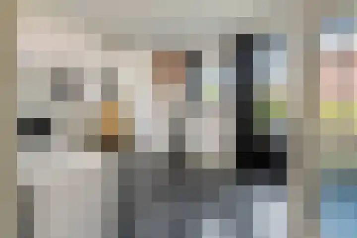 Prinses Amaliastraat 2 Schoonrewoerd thumbnail 4
