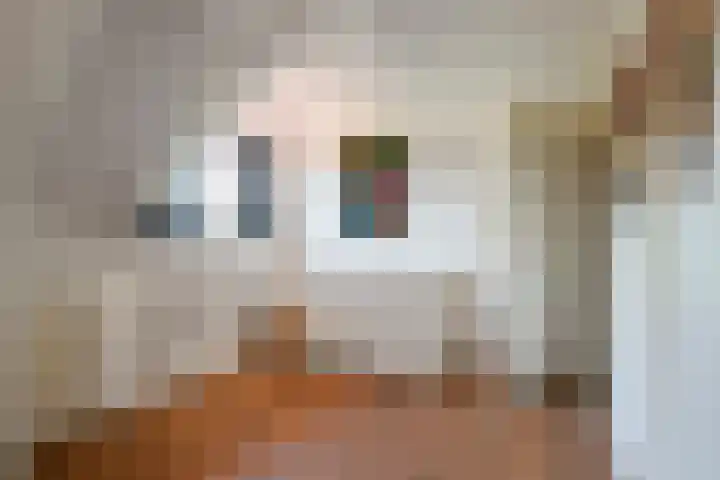 Prinses Amaliastraat 2 Schoonrewoerd thumbnail 43