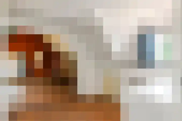 Prinses Amaliastraat 2 Schoonrewoerd thumbnail 44