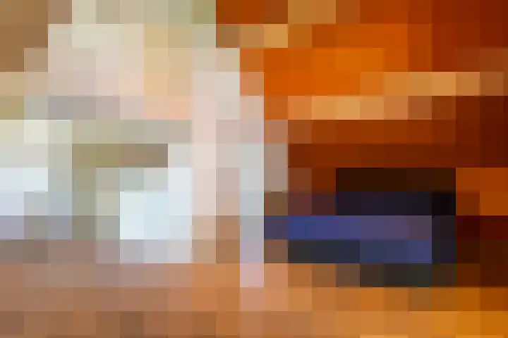 Prinses Amaliastraat 2 Schoonrewoerd thumbnail 46