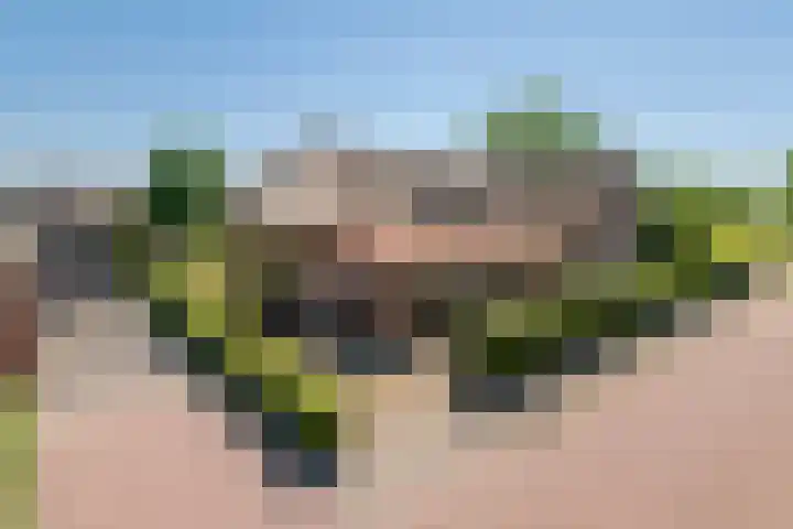 Prinses Amaliastraat 2 Schoonrewoerd thumbnail 5