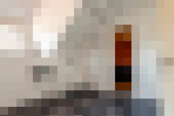 Prinses Amaliastraat 2 Schoonrewoerd thumbnail 50