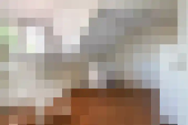 Prinses Amaliastraat 2 Schoonrewoerd thumbnail 52