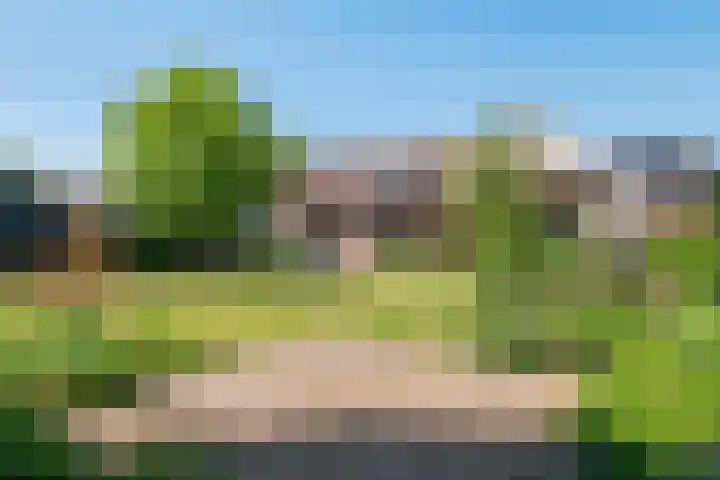 Prinses Amaliastraat 2 Schoonrewoerd thumbnail 57