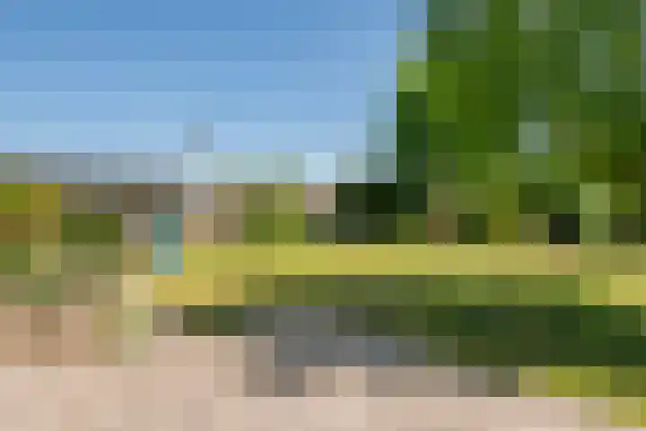 Prinses Amaliastraat 2 Schoonrewoerd thumbnail 59