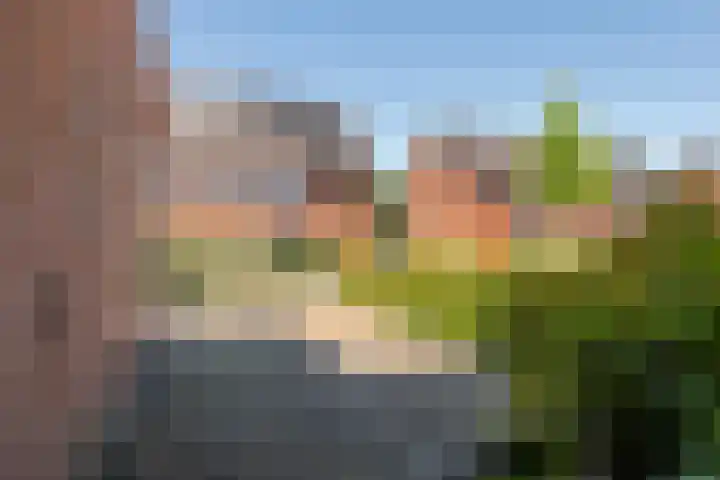 Prinses Amaliastraat 2 Schoonrewoerd thumbnail 6