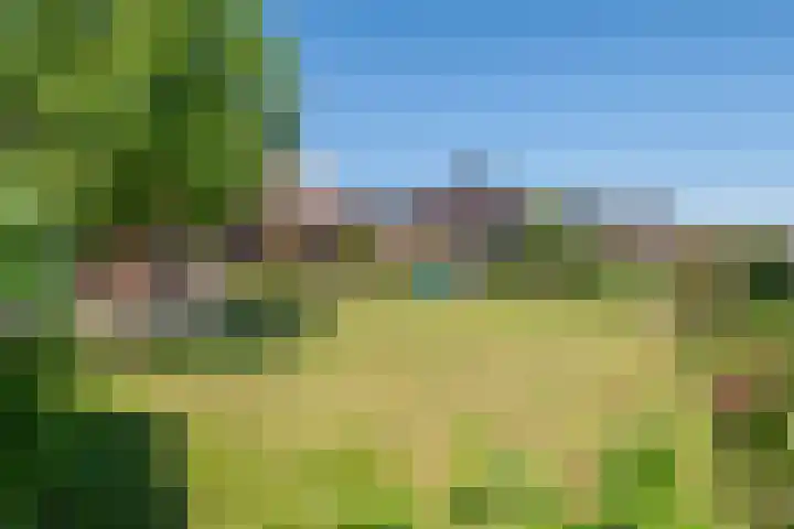 Prinses Amaliastraat 2 Schoonrewoerd thumbnail 60