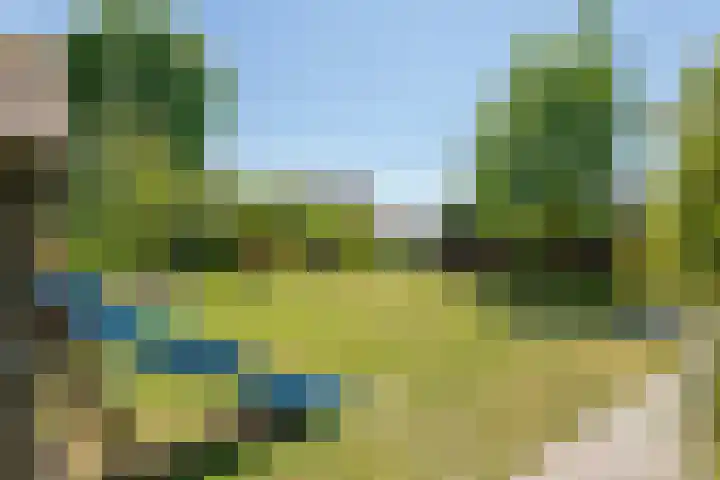 Prinses Amaliastraat 2 Schoonrewoerd thumbnail 61