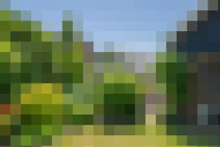 Prinses Amaliastraat 2 Schoonrewoerd thumbnail 63