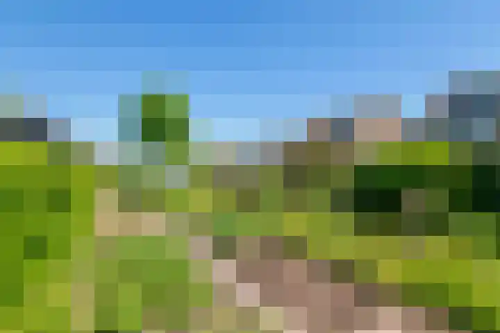 Prinses Amaliastraat 2 Schoonrewoerd thumbnail 64