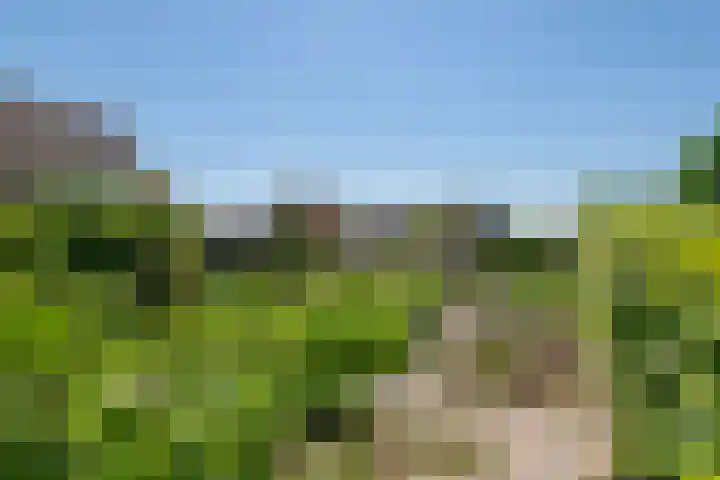 Prinses Amaliastraat 2 Schoonrewoerd thumbnail 65
