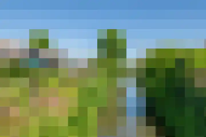 Prinses Amaliastraat 2 Schoonrewoerd thumbnail 66