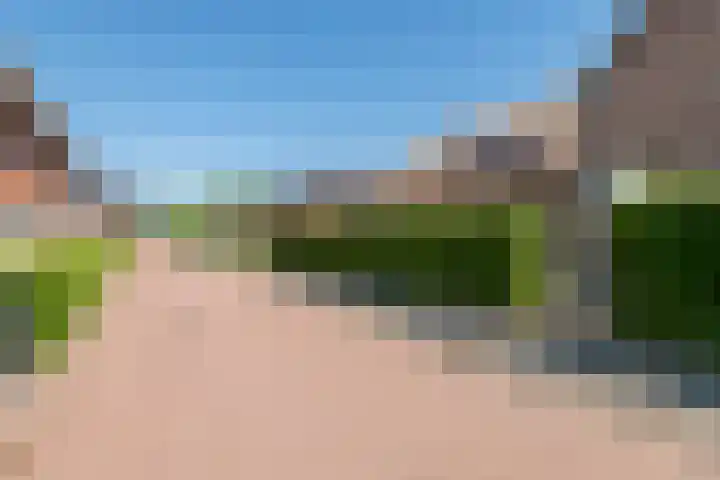 Prinses Amaliastraat 2 Schoonrewoerd thumbnail 68