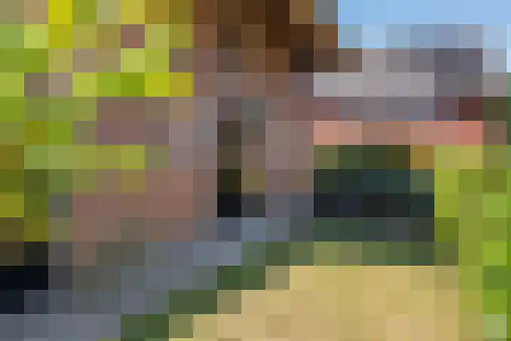 Prinses Amaliastraat 2 Schoonrewoerd thumbnail 7