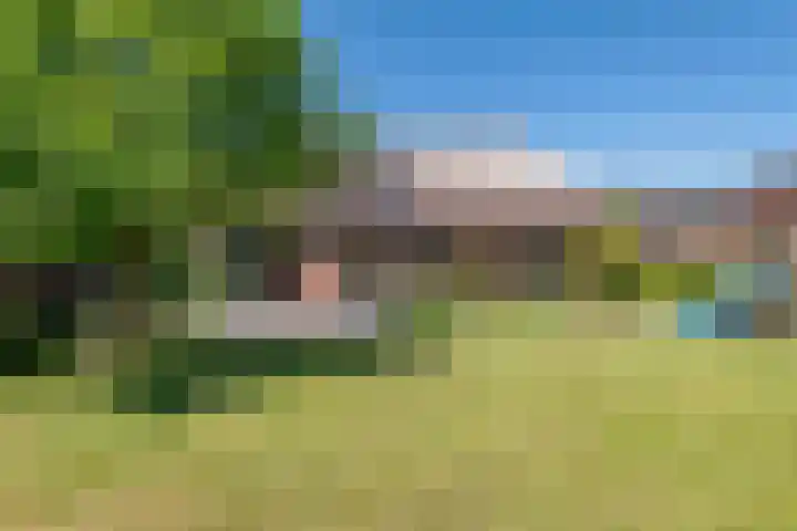 Prinses Amaliastraat 2 Schoonrewoerd thumbnail 8