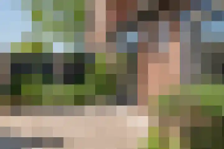 Prinses Amaliastraat 2 Schoonrewoerd thumbnail 9