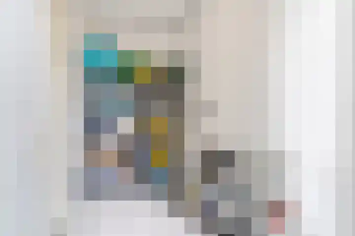 Prinses Amaliastraat 24 Dongen thumbnail 11